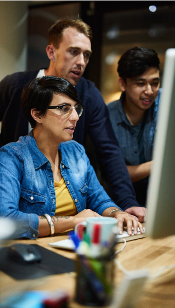 Custom Software Development a3